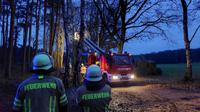 TH1 in Ashausen - Droht Baum zu fallen Bild 4