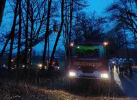 TH1 in Ashausen - Droht Baum zu fallen Bild 2