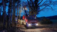 TH1 in Ashausen - Droht Baum zu fallen Bild 3