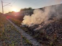 FW1 in Ashausen - Brennt Wald/Unterholz (klein) Bild 1