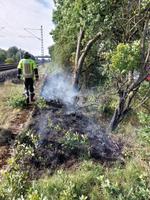 FW1 in Ashausen - Brennt Wald/Unterholz (klein) Bild 1