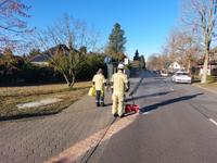 THS in Ashausen - Auslaufen Betriebsstoffe Fahrbahn Bild 2