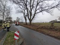 TH1 in Ashausen - Droht Ast zu fallen Bild 1