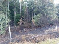 FW4 - Brennt Grasfläche und Wald - BAB 1 Rade Bild 3
