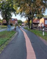 THS - Straßenverunreinigung in Ashausen Bild 2
