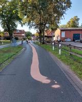 THS - Straßenverunreinigung in Ashausen Bild 1