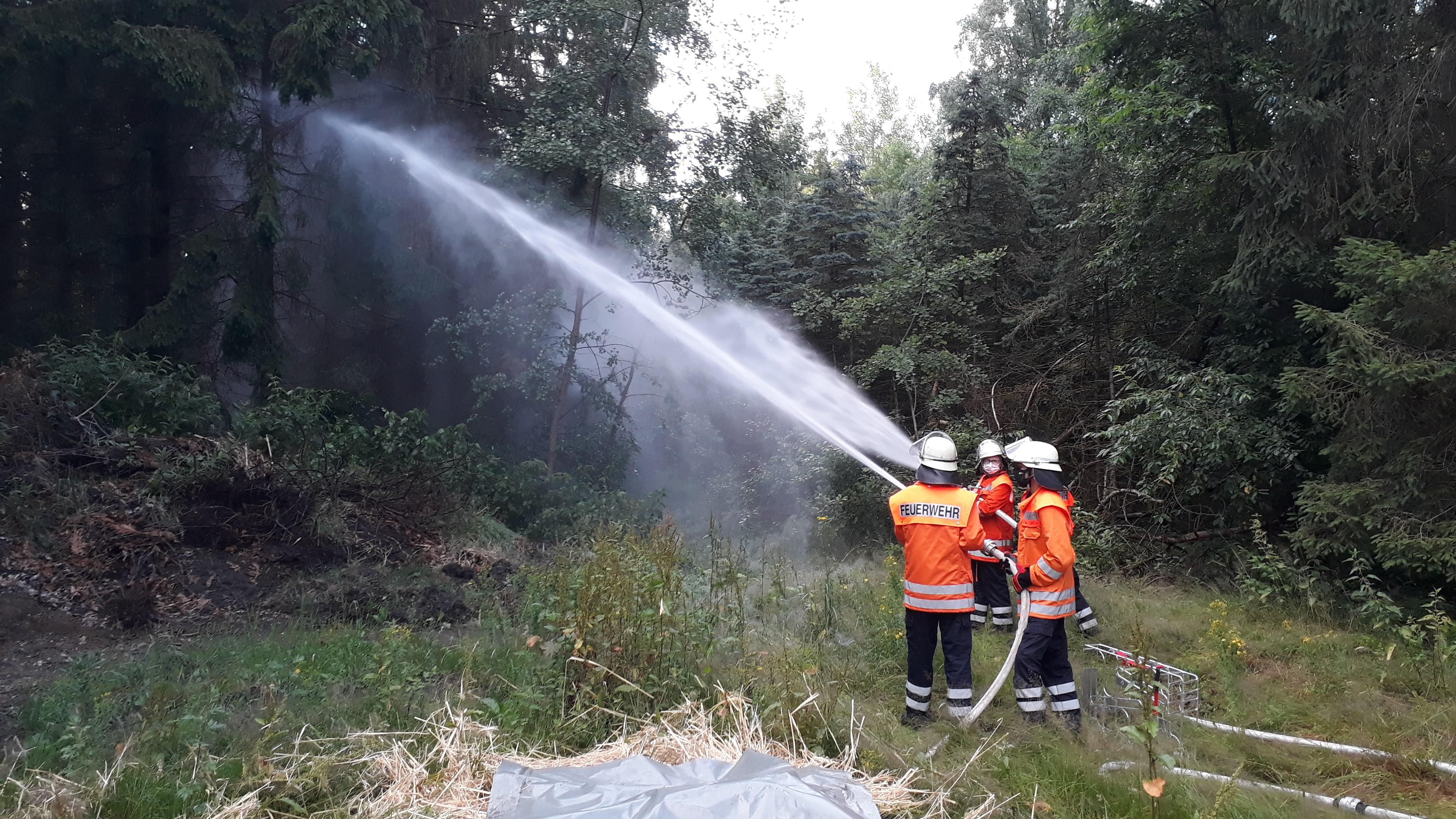 Vorschaubild Übungsdienst zum Thema Waldbrand